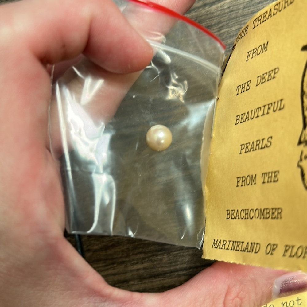 Vintage pearl from Marineland of Florida - Picture 2 of 4